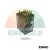 Przekaźnik pomocniczy / mocy 220V AC w przezroczystej obudowie z widocznym mechanizmem wewnętrznym i pinami.